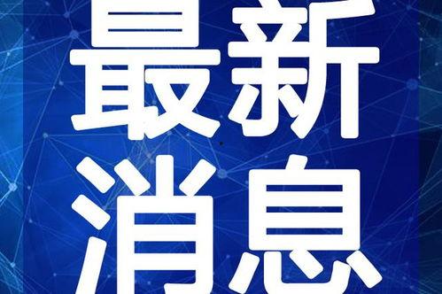 最新爆料娱乐小灶视频完整版,最新爆料视频完整版深度解析